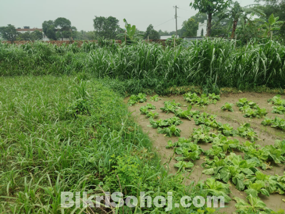 ভাকুর্তায় জমি বিক্রয়